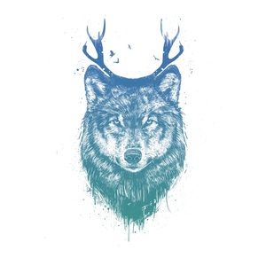 Meet your Posher, Noah